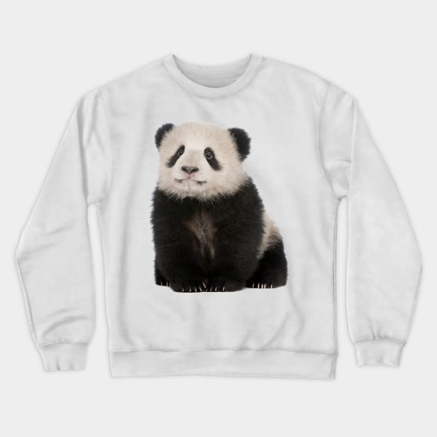 Baby Panda Crewneck Sweatshirt by MysticTimeline